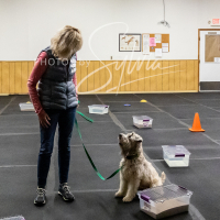 26-18-10-ScentWork-259