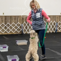 26-18-10-ScentWork-261