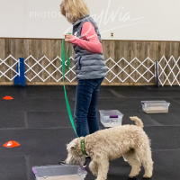 26-18-10-ScentWork-263