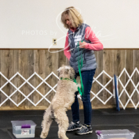 26-18-10-ScentWork-264