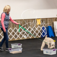 26-18-10-ScentWork-265