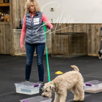 26-18-10-ScentWork-267