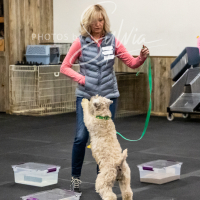 26-18-10-ScentWork-268