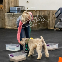 26-18-10-ScentWork-269