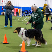 26-18-10-ScentWork-27