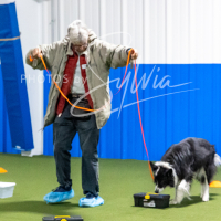 26-18-10-ScentWork-272