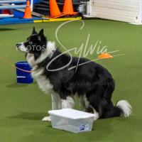 26-18-10-ScentWork-278