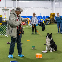 26-18-10-ScentWork-280