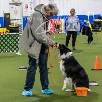 26-18-10-ScentWork-282