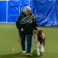 26-18-10-ScentWork-288