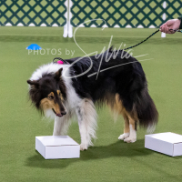 26-18-10-ScentWork-29