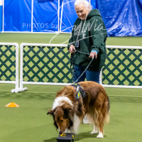 26-18-10-ScentWork-291
