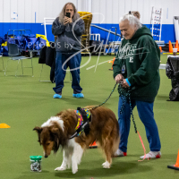 26-18-10-ScentWork-295