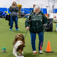 26-18-10-ScentWork-296