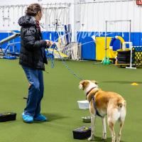 26-18-10-ScentWork-309