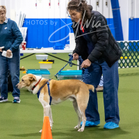 26-18-10-ScentWork-310