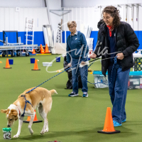 26-18-10-ScentWork-311