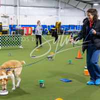 26-18-10-ScentWork-313