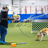 26-18-10-ScentWork-315