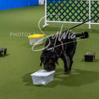 26-18-10-ScentWork-321