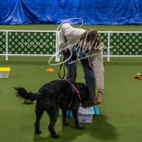 26-18-10-ScentWork-323