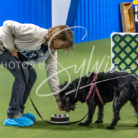 26-18-10-ScentWork-331