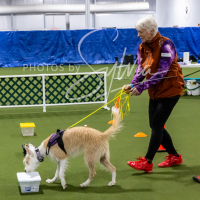 26-18-10-ScentWork-337
