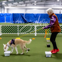 26-18-10-ScentWork-339