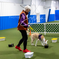 26-18-10-ScentWork-340