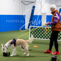 26-18-10-ScentWork-342