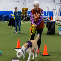 26-18-10-ScentWork-345