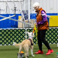 26-18-10-ScentWork-347