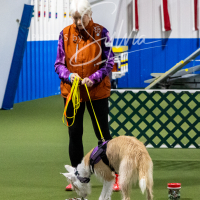 26-18-10-ScentWork-349