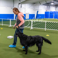 26-18-10-ScentWork-35