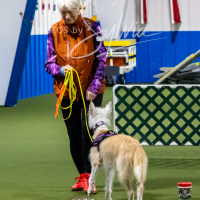 26-18-10-ScentWork-350