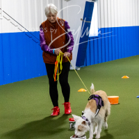 26-18-10-ScentWork-352