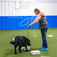 26-18-10-ScentWork-36