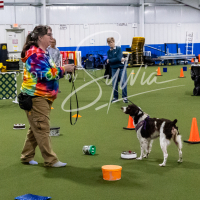 26-18-10-ScentWork-368