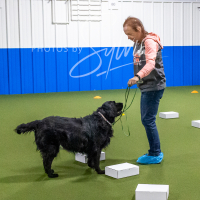 26-18-10-ScentWork-37