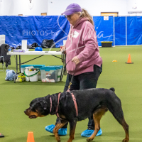 26-18-10-ScentWork-371