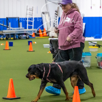 26-18-10-ScentWork-381