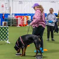 26-18-10-ScentWork-382
