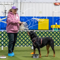 26-18-10-ScentWork-384