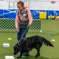 26-18-10-ScentWork-39