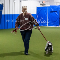 26-18-10-ScentWork-391