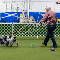 26-18-10-ScentWork-397