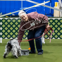 26-18-10-ScentWork-399