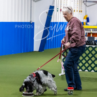 26-18-10-ScentWork-401