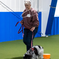 26-18-10-ScentWork-404