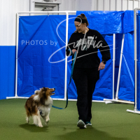 26-18-10-ScentWork-406
